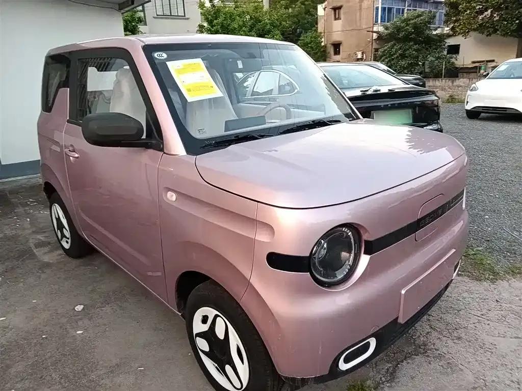 Panda 2025 Panda Mini 210km - Energetic Bear — миниатюра 4