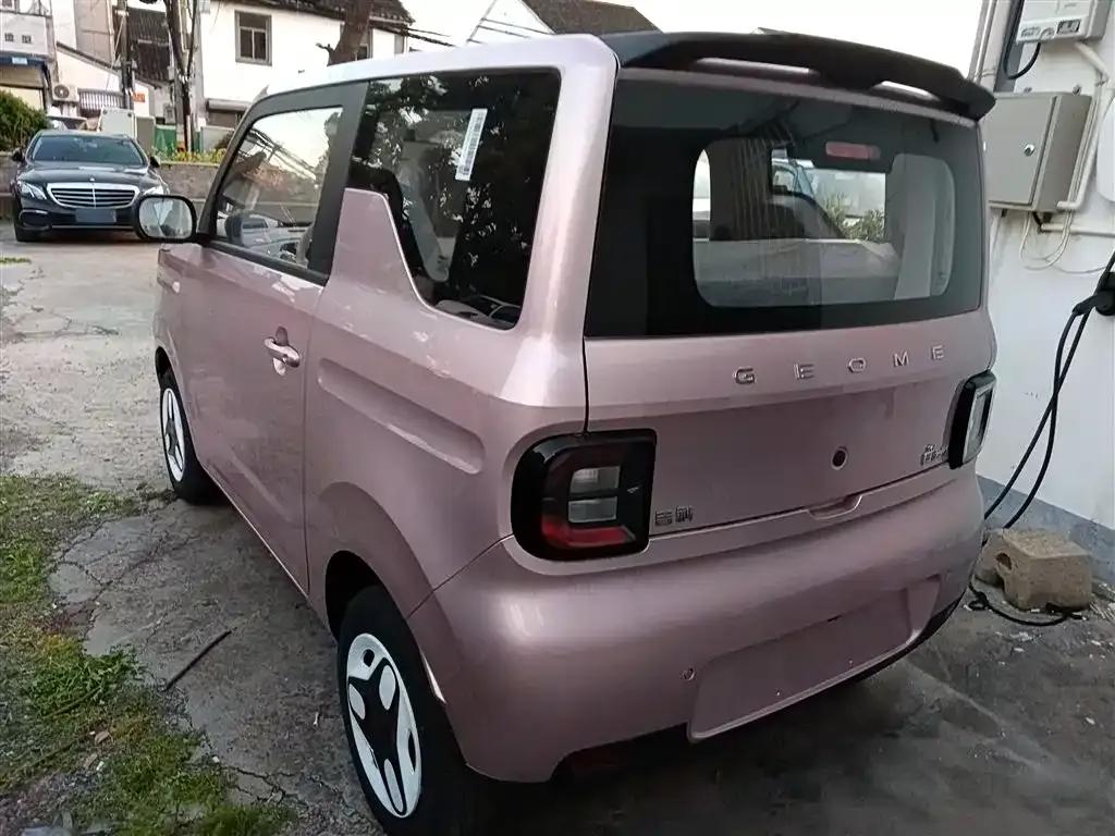 Panda 2025 Panda Mini 210km - Energetic Bear — миниатюра 5