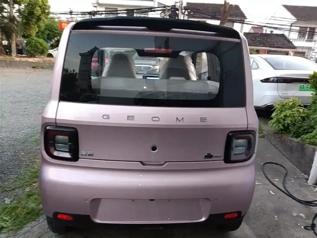 Panda 2025 Panda Mini 210km - Energetic Bear — миниатюра 6