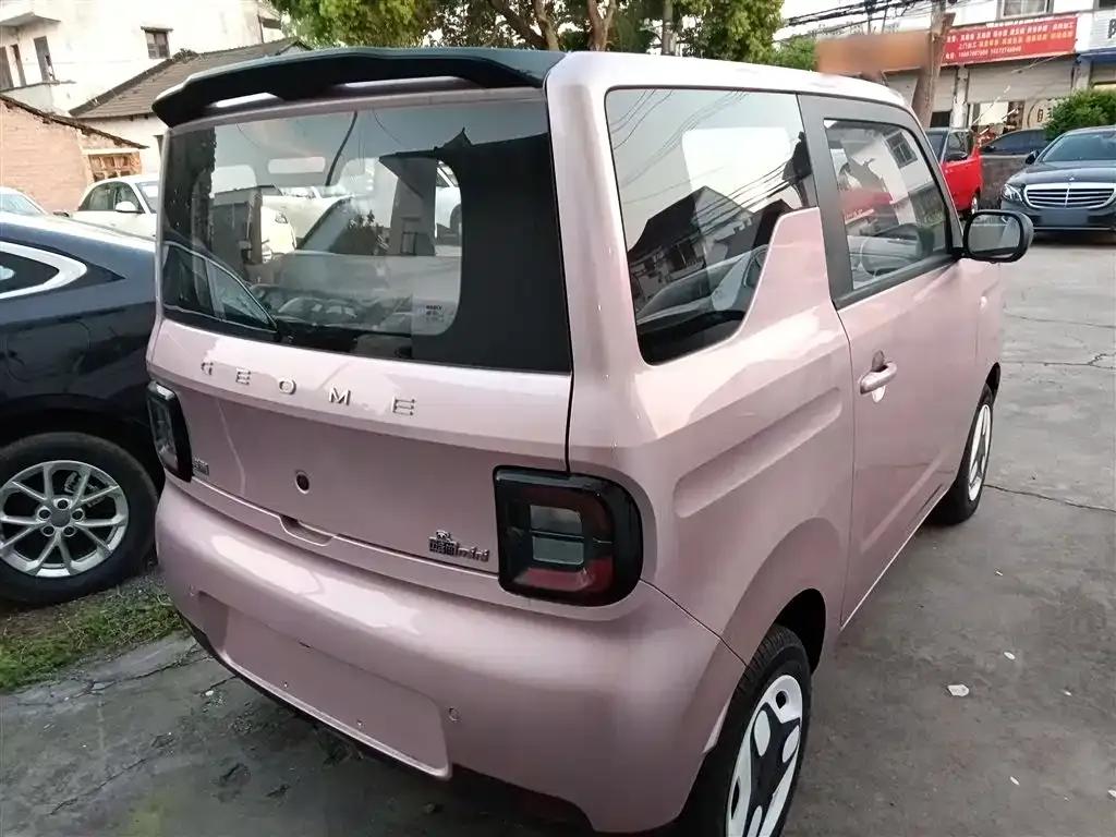 Panda 2025 Panda Mini 210km - Energetic Bear — миниатюра 7