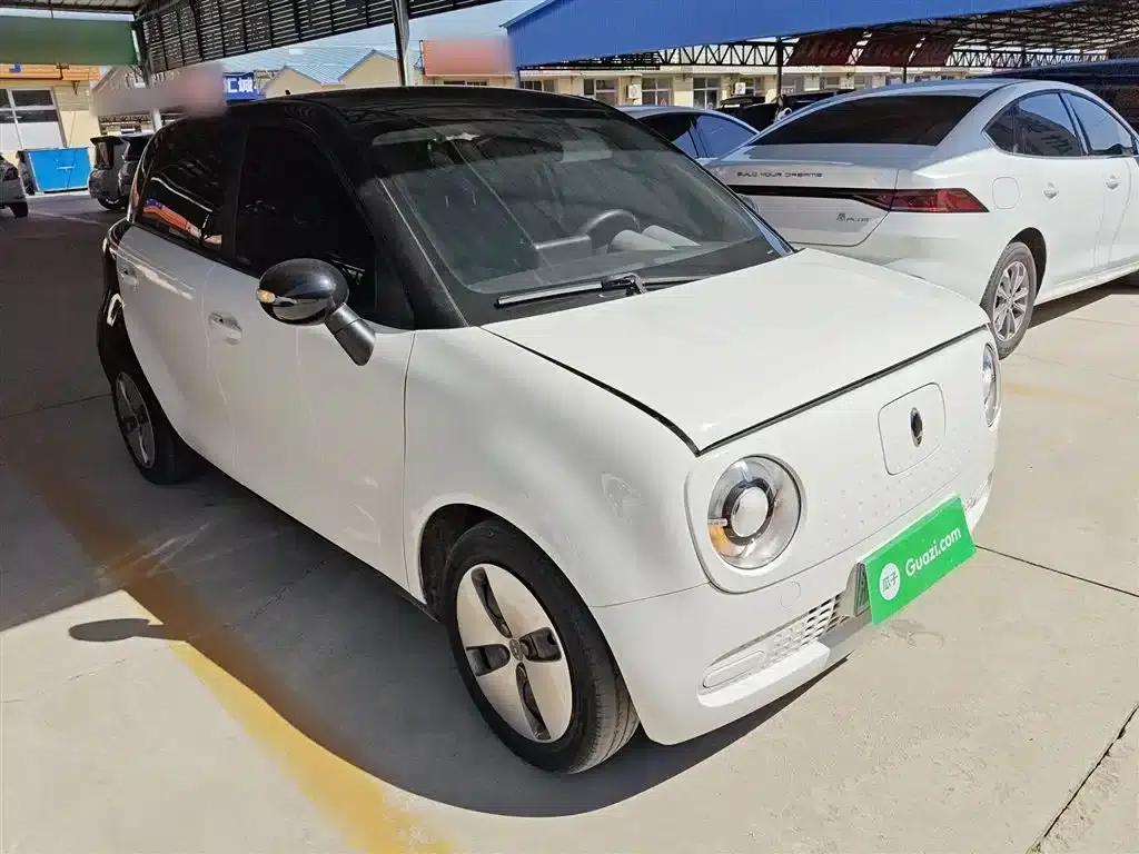 ORA Black Cat 2021 Model 301km Pet Edition — миниатюра 4