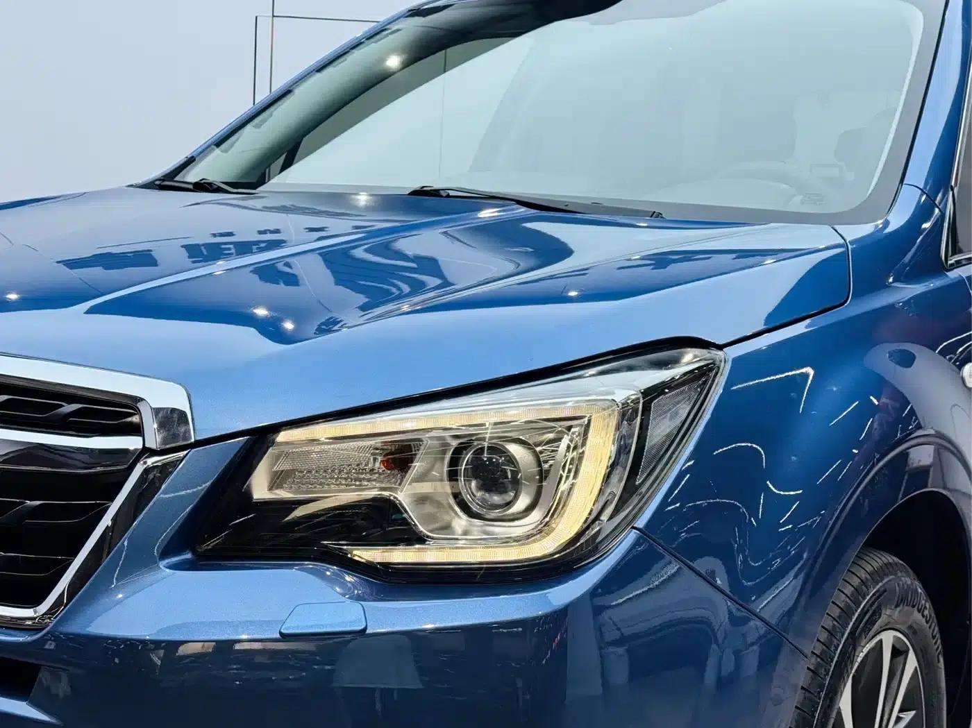 Forester 2018 2.0i Luxury Navigation Edition — миниатюра 21