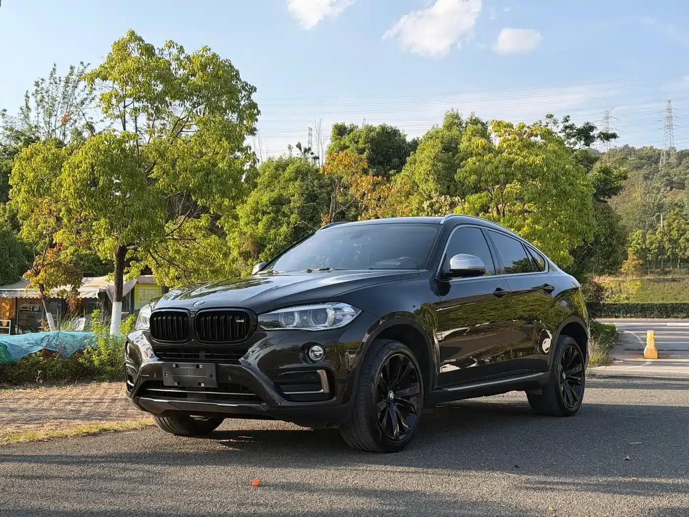 BMW X6 2017 xDrive35i Leading Edition — миниатюра 1