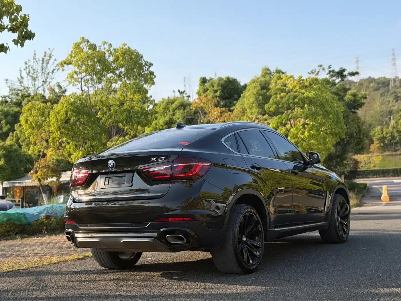 BMW X6 2017 xDrive35i Leading Edition — миниатюра 4