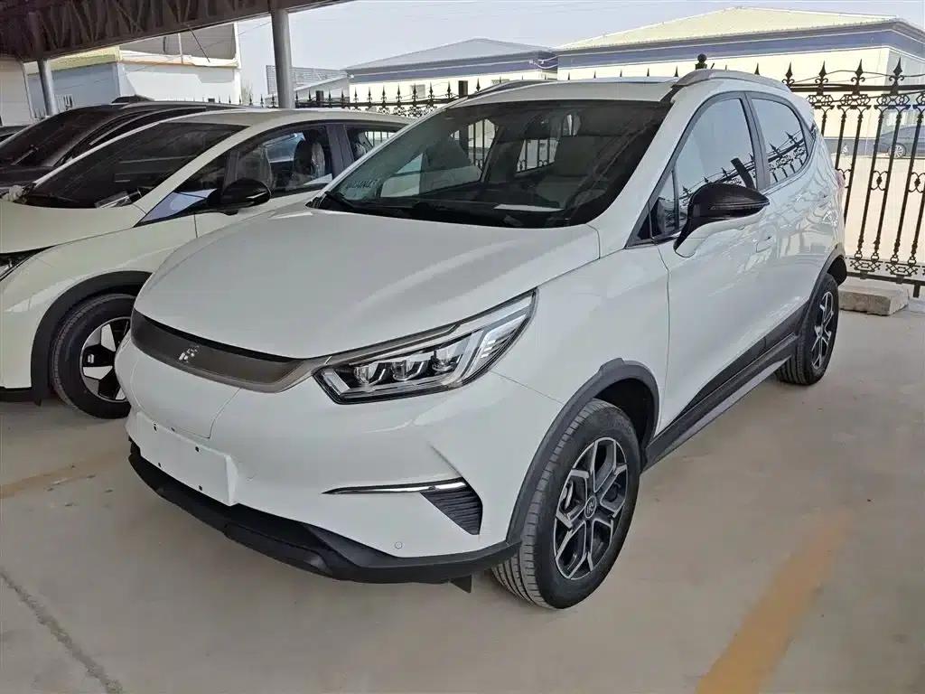 Yuan Pro 2021 401KM Premium — миниатюра 2