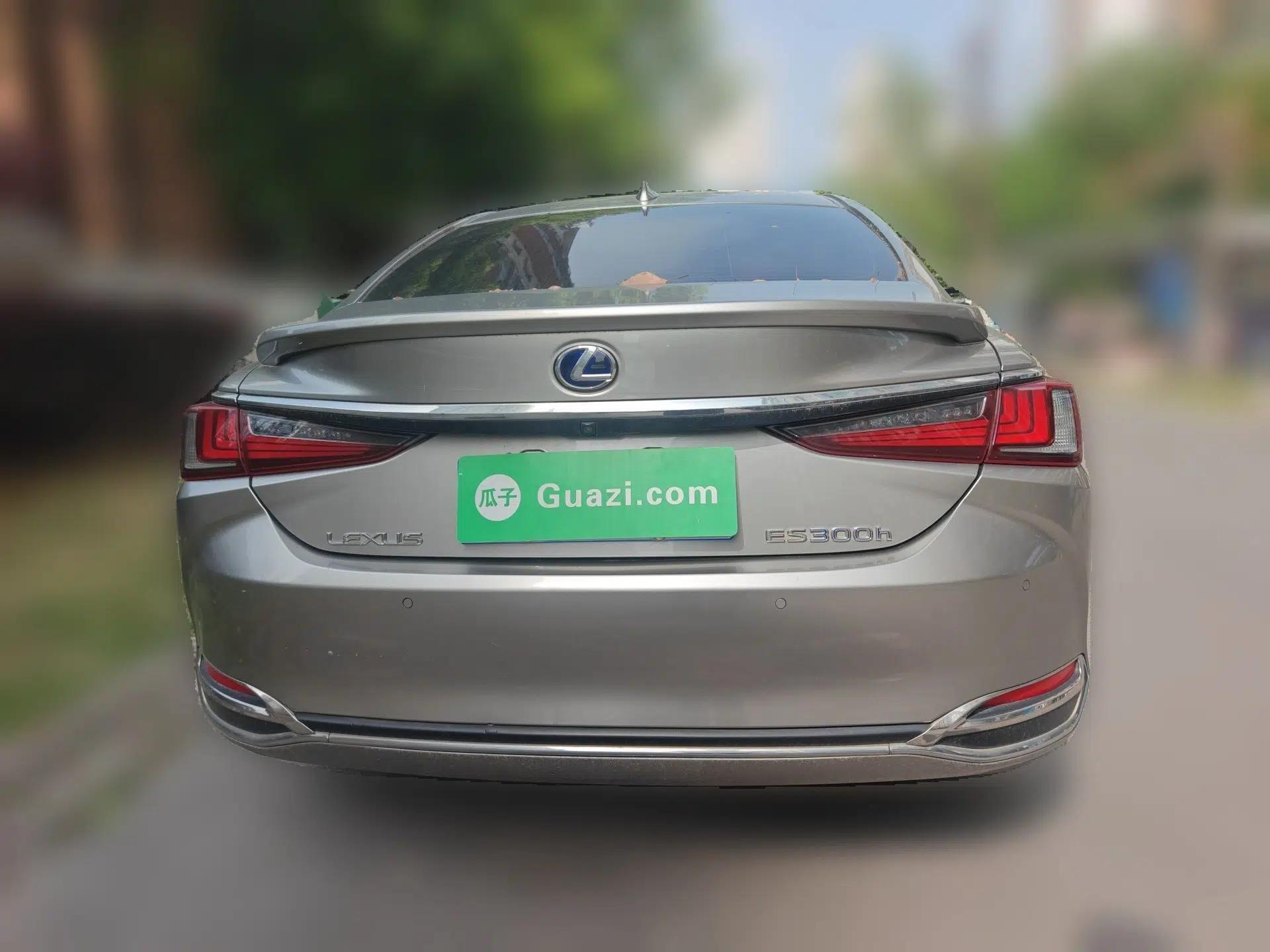 Lexus ES 2018 300h Premier Edition China VI Standard — миниатюра 5