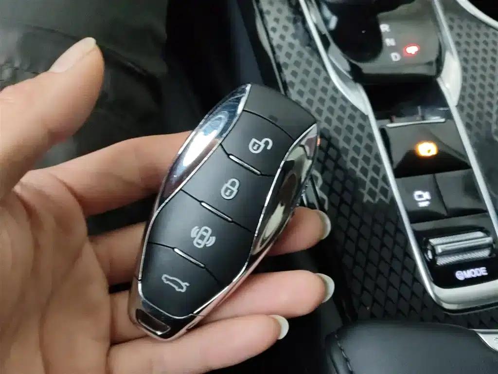 Hongqi HS3 PHEV 2024 Model, 115km/h Performance Edition — миниатюра 9