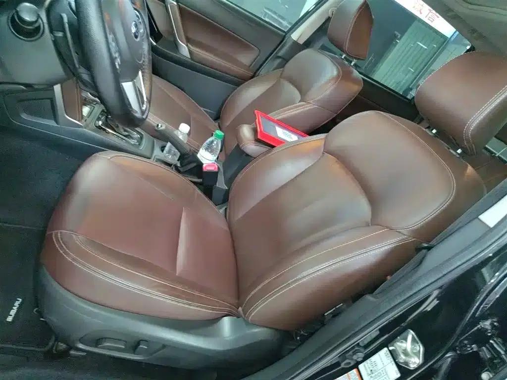 Forester 2016 2.5i Premium Navigation Edition — миниатюра 11