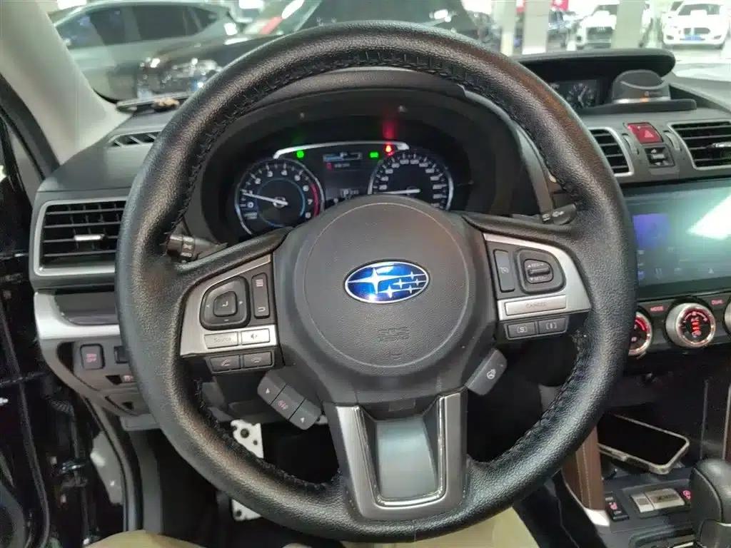 Forester 2016 2.5i Premium Navigation Edition — миниатюра 7