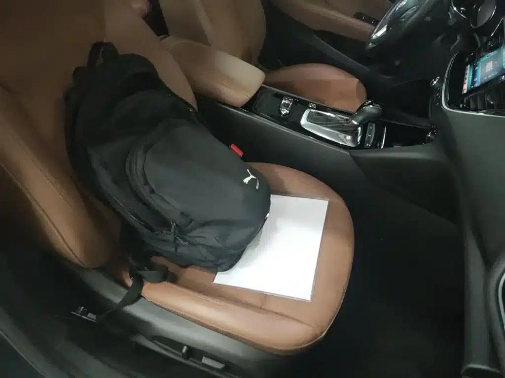 Buick Regal 2019 20T Elite Edition (China VI Emission Standard) — миниатюра 4