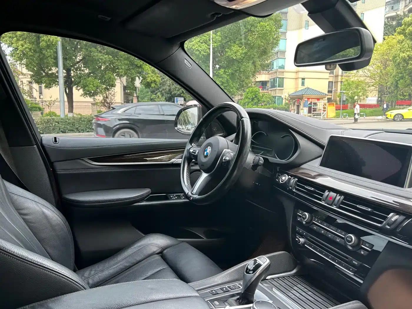 2017 BMW X6 xDrive35i M Luxury Sport — миниатюра 14
