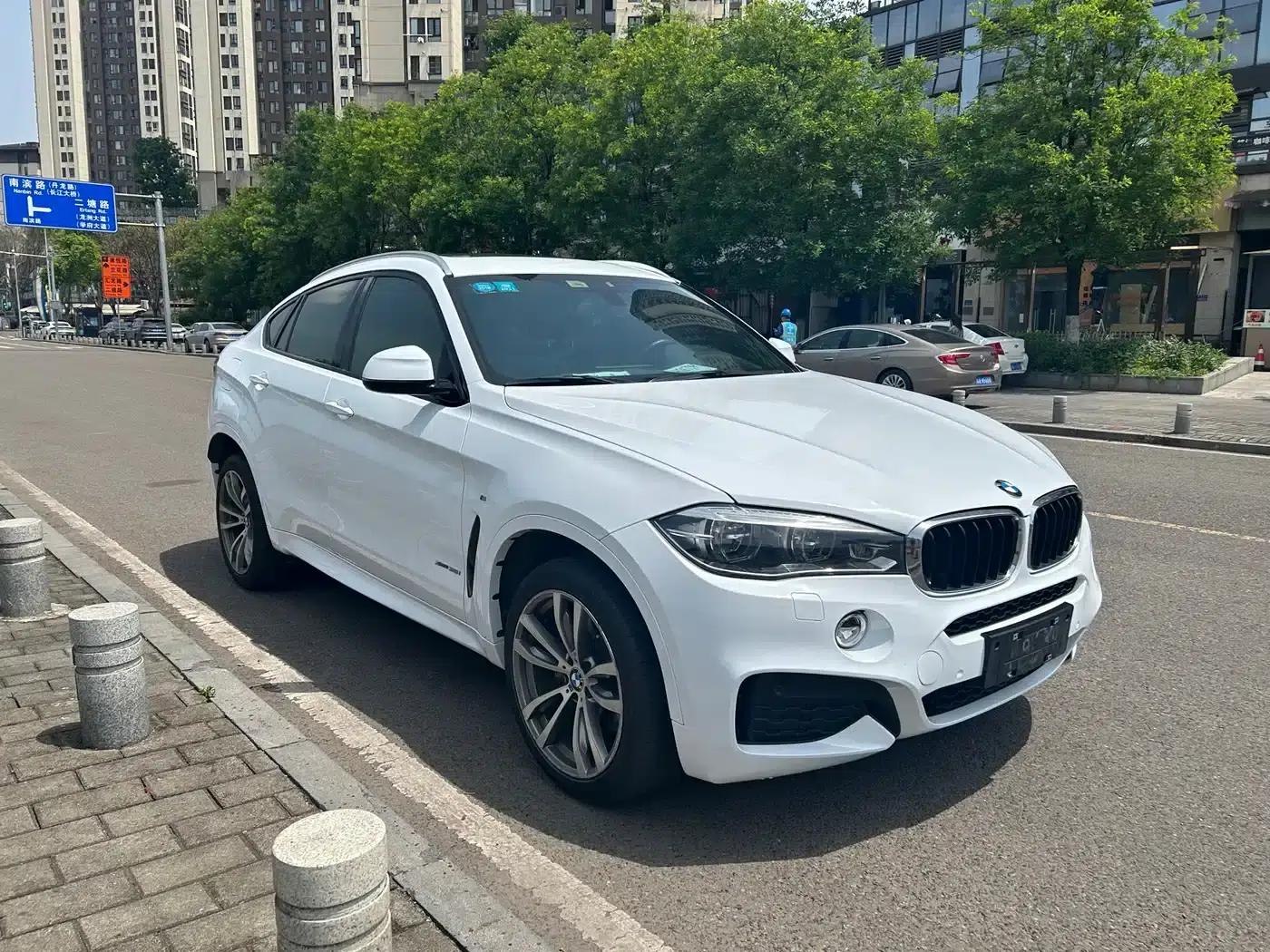 2017 BMW X6 xDrive35i M Luxury Sport — миниатюра 3