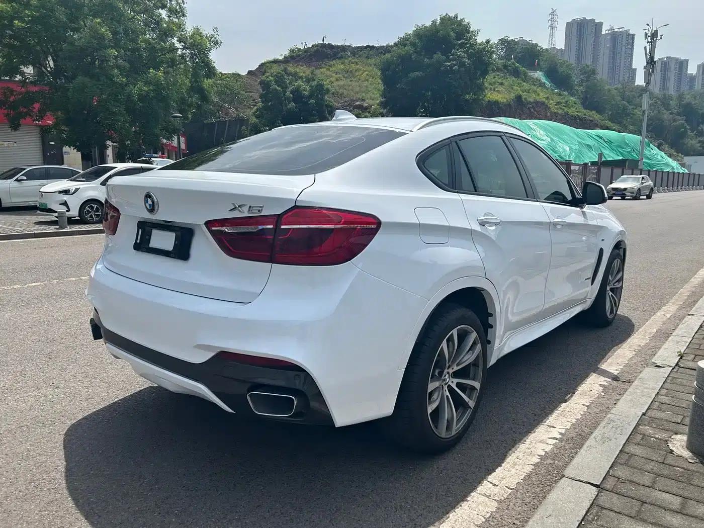 2017 BMW X6 xDrive35i M Luxury Sport — миниатюра 7