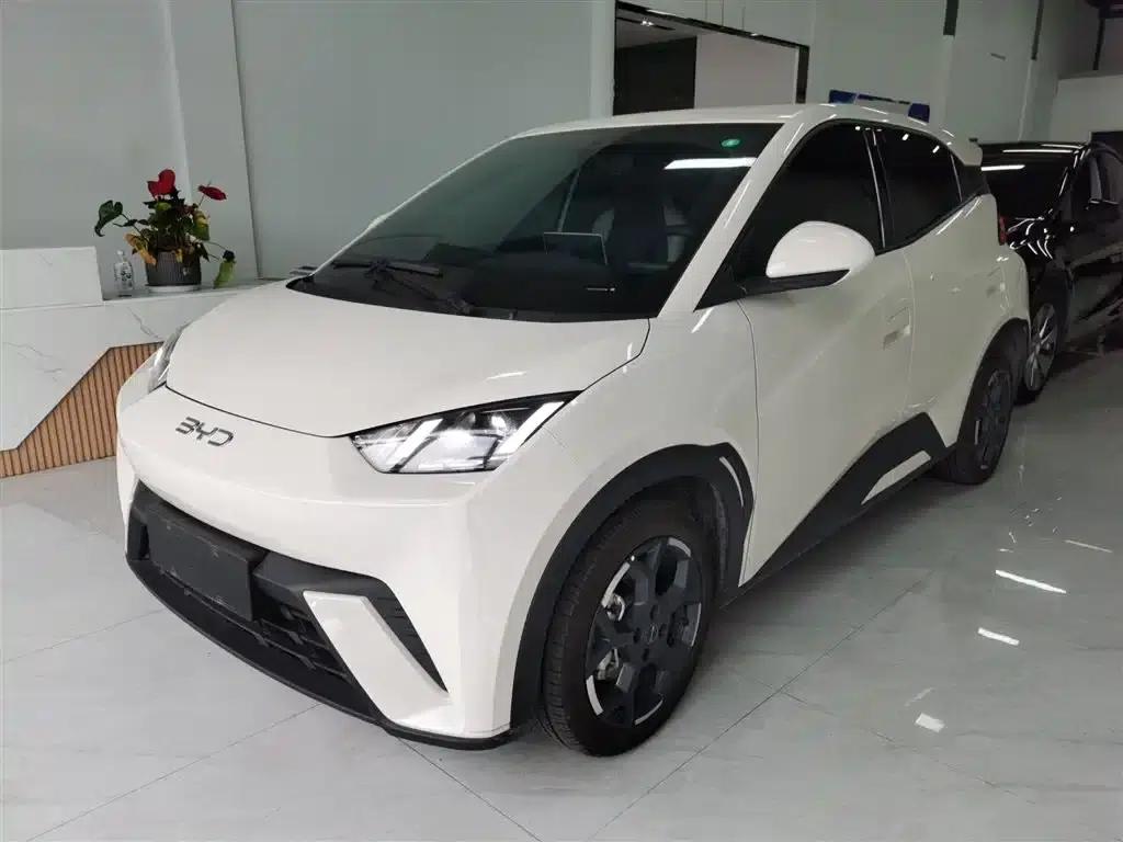 Seagull 2025 305km Freedom Edition — миниатюра 2