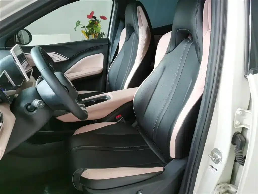 Seagull 2025 305km Freedom Edition — миниатюра 11
