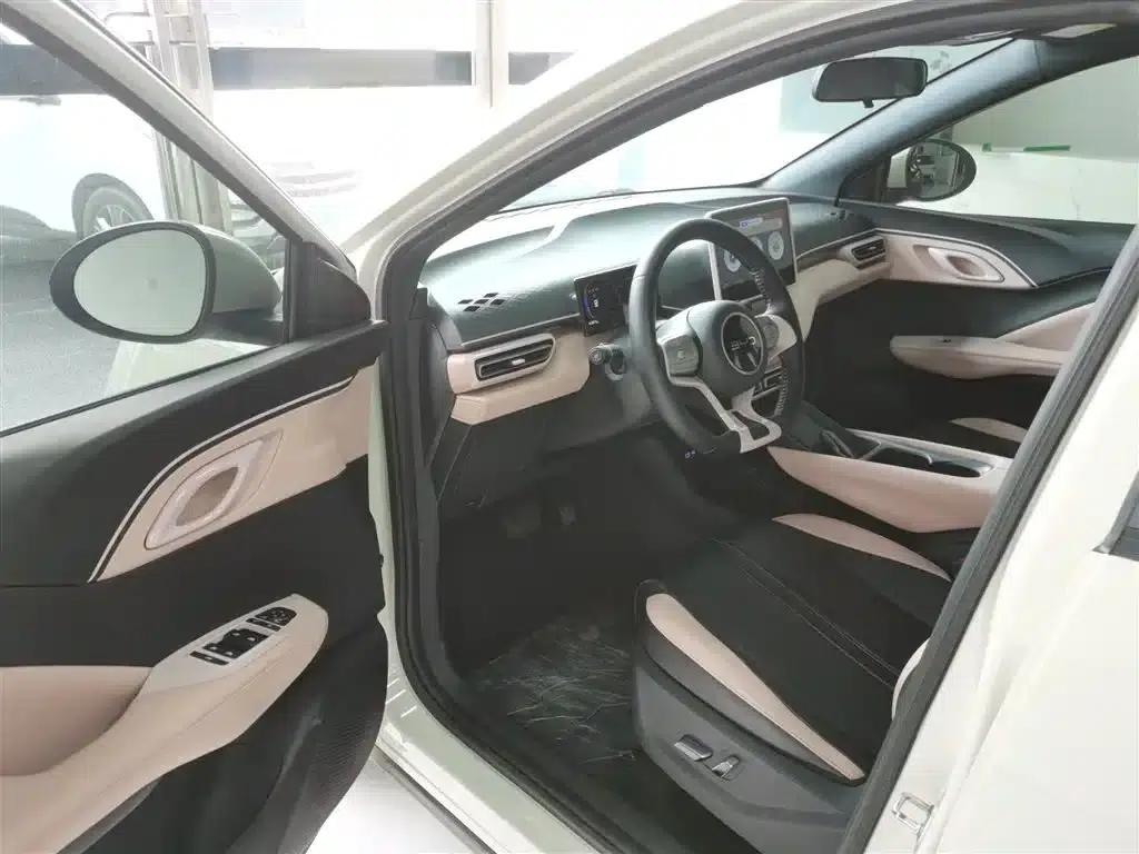 Seagull 2025 305km Freedom Edition — миниатюра 12