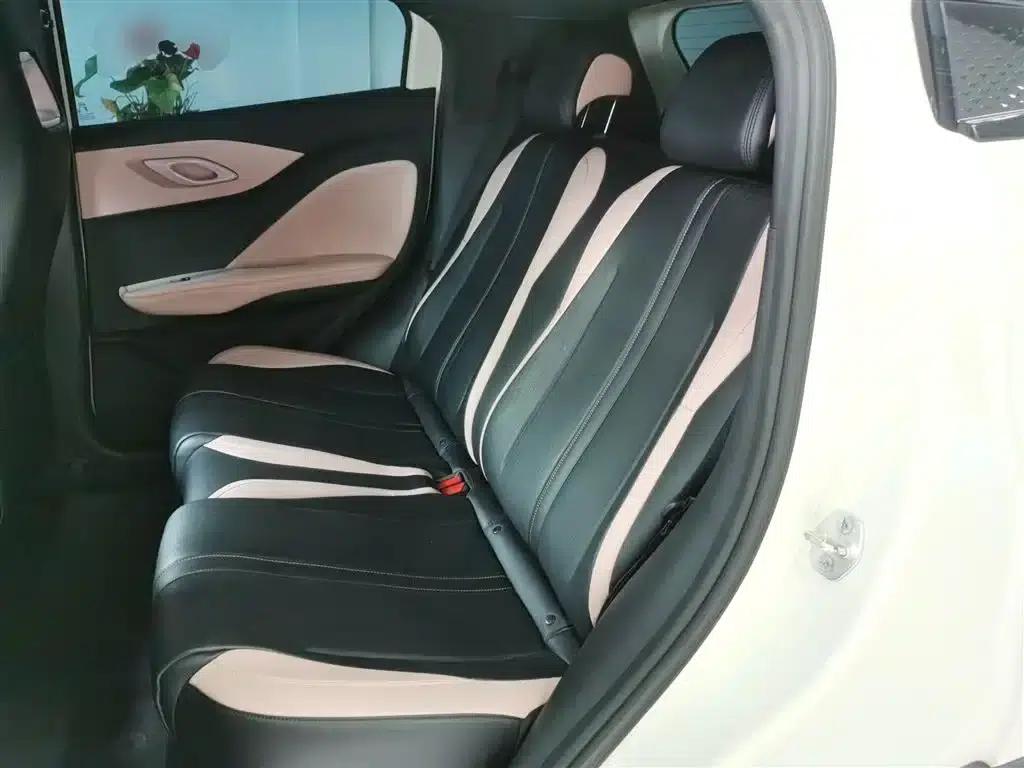 Seagull 2025 305km Freedom Edition — миниатюра 13