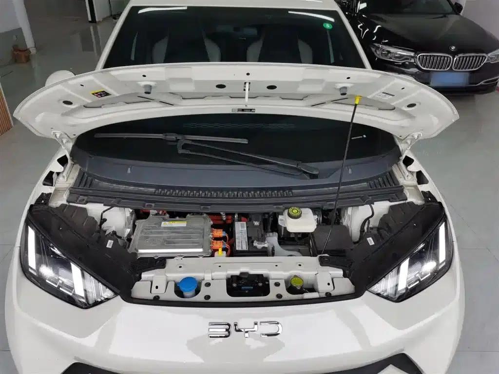 Seagull 2025 305km Freedom Edition — миниатюра 16