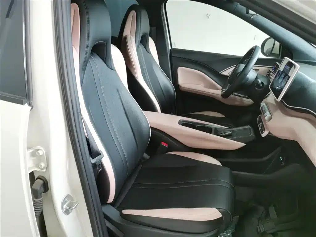 Seagull 2025 305km Freedom Edition — миниатюра 20
