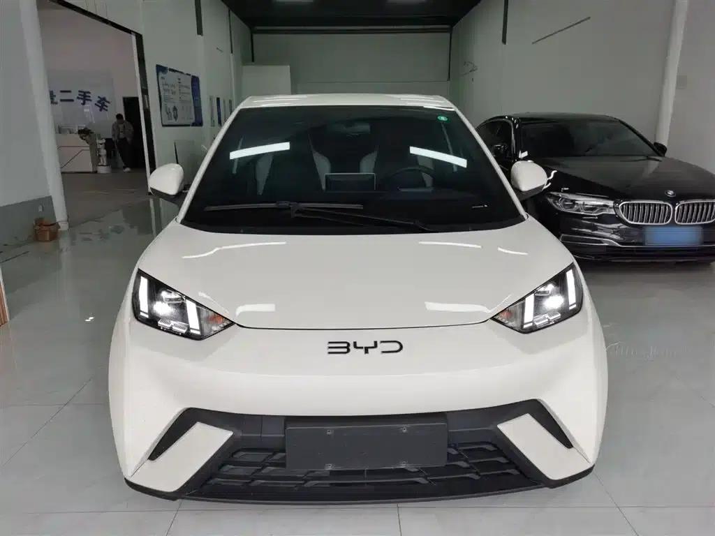 Seagull 2025 305km Freedom Edition — миниатюра 3