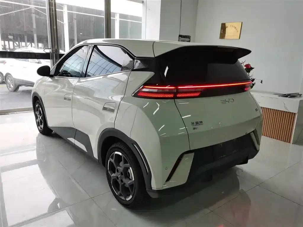 Seagull 2025 305km Freedom Edition — миниатюра 23