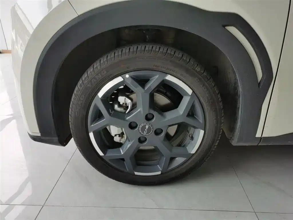 Seagull 2025 305km Freedom Edition — миниатюра 25