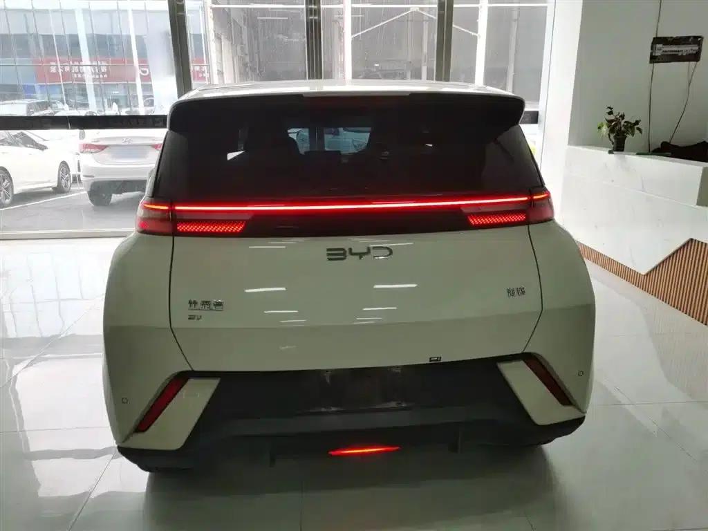 Seagull 2025 305km Freedom Edition — миниатюра 4