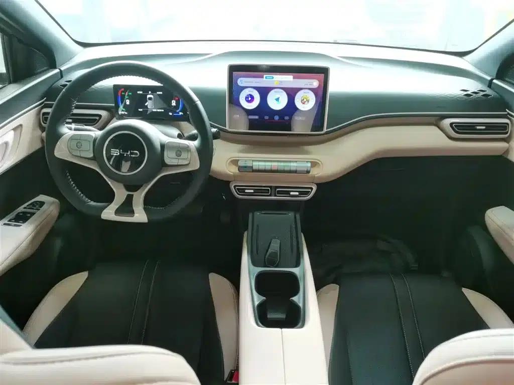 Seagull 2025 305km Freedom Edition — миниатюра 6