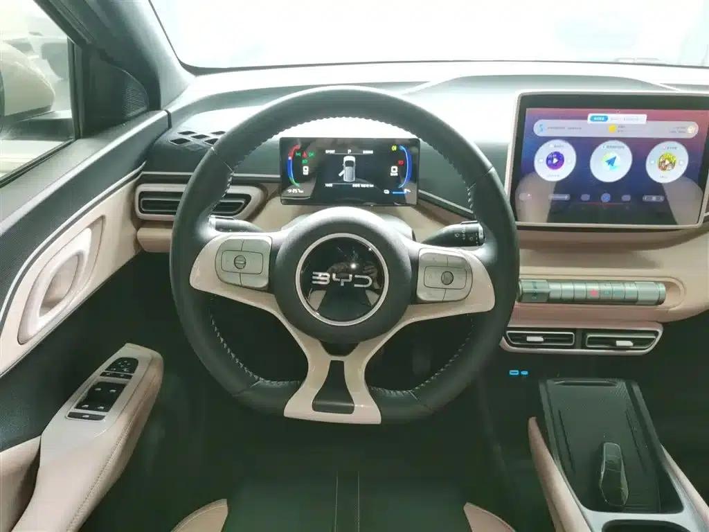 Seagull 2025 305km Freedom Edition — миниатюра 7