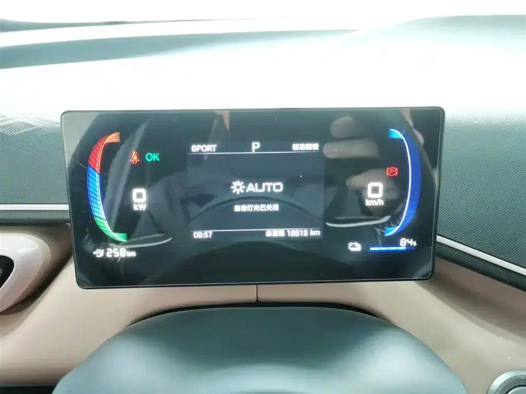 Seagull 2025 305km Freedom Edition — миниатюра 8