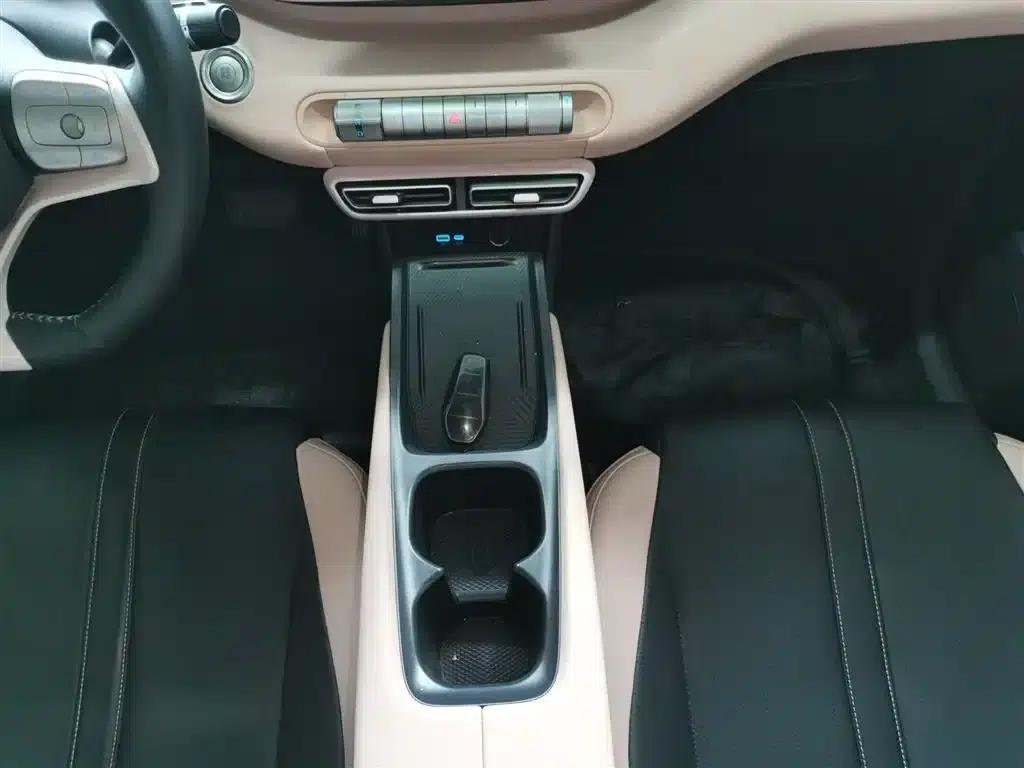 Seagull 2025 305km Freedom Edition — миниатюра 10