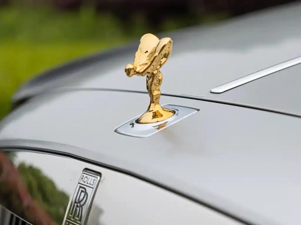 2010 Ghost 6.6T Standard Edition — миниатюра 10