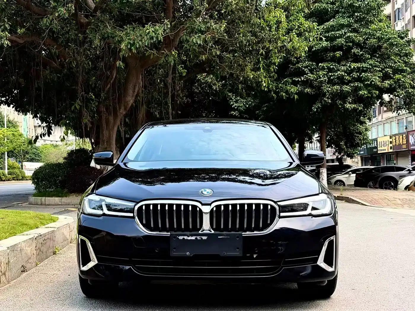 2022 BMW 5 Series 530Li Leading Luxury Package — миниатюра 1