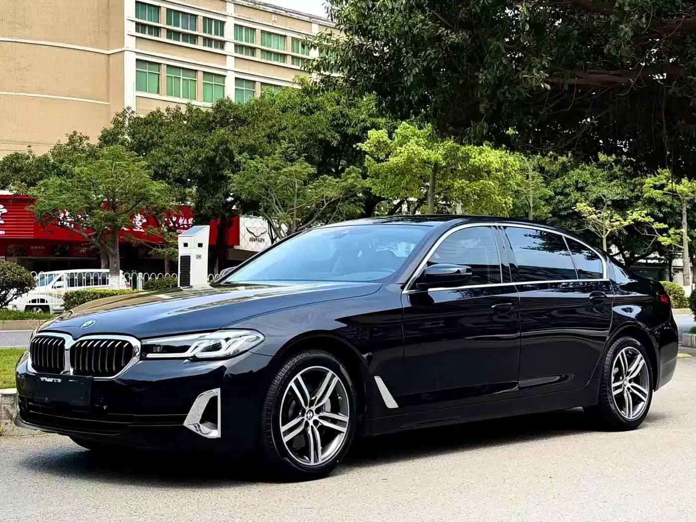 2022 BMW 5 Series 530Li Leading Luxury Package — миниатюра 2
