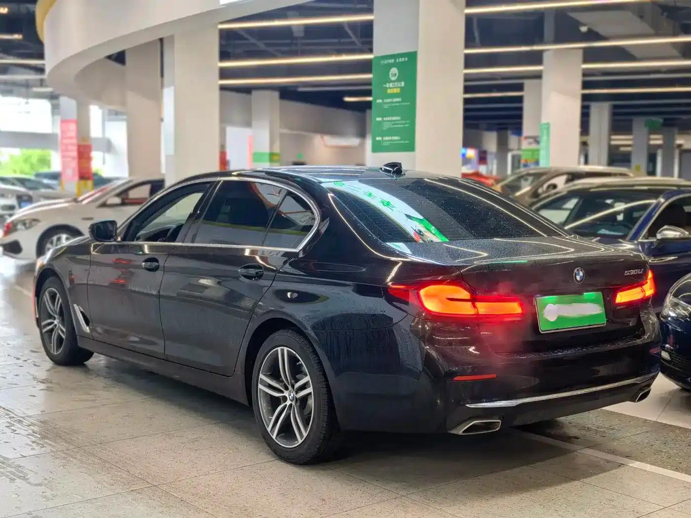 BMW 5 Series 2021 530Li Leading Luxury Package — миниатюра 5