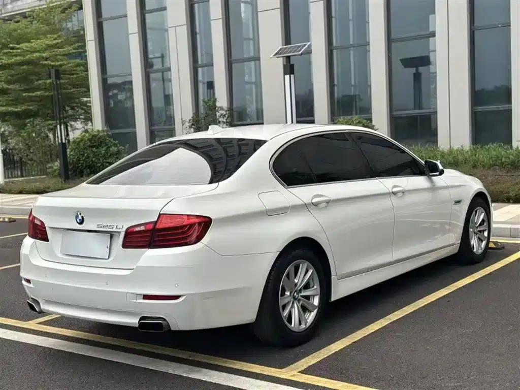 2014 BMW 5 Series 520Li Elegant Edition — миниатюра 23
