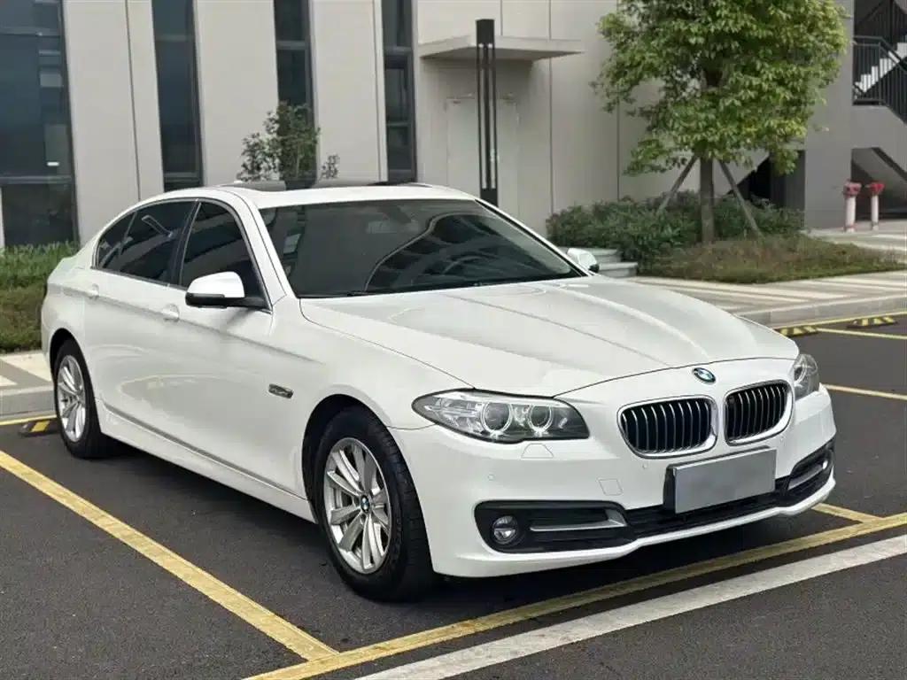 2014 BMW 5 Series 520Li Elegant Edition — миниатюра 24