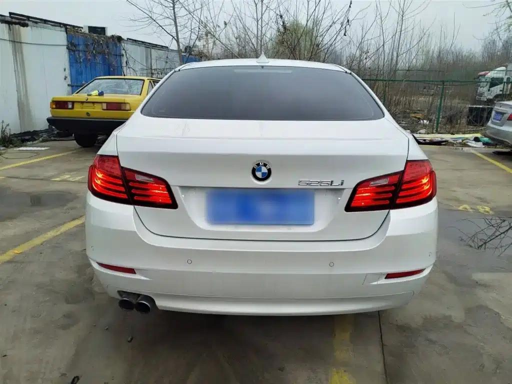 2014 BMW 5 Series 525Li Leading Edition — миниатюра 6