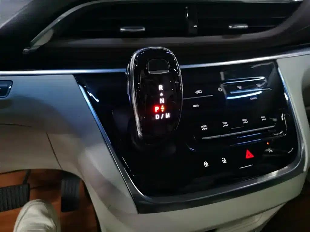 Buick GL8 2021 Land Business Class 652T Luxury — миниатюра 6
