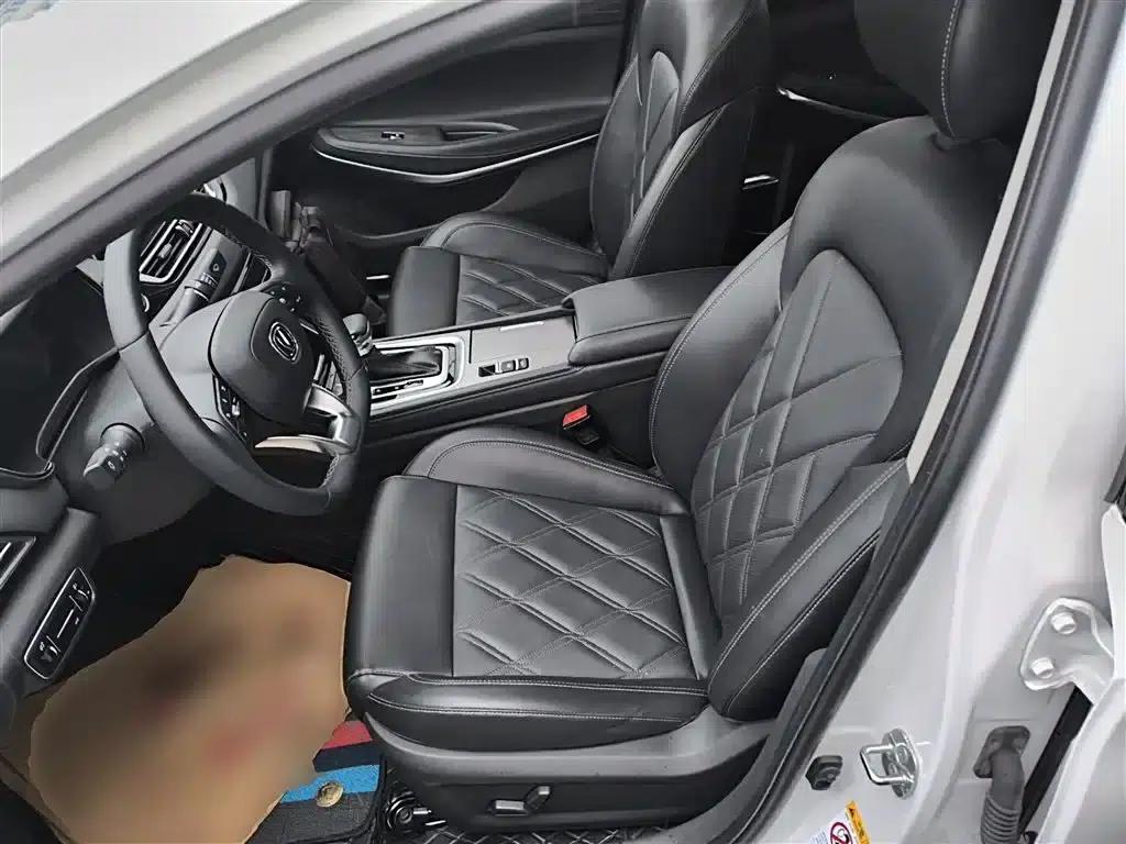 Ruicheng CC 2022 Blue Whale Edition 1.5T DCT Luxury — миниатюра 11