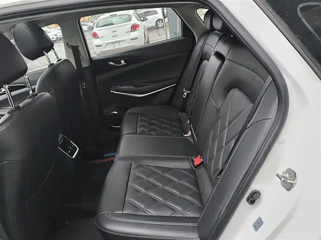 Ruicheng CC 2022 Blue Whale Edition 1.5T DCT Luxury — миниатюра 13