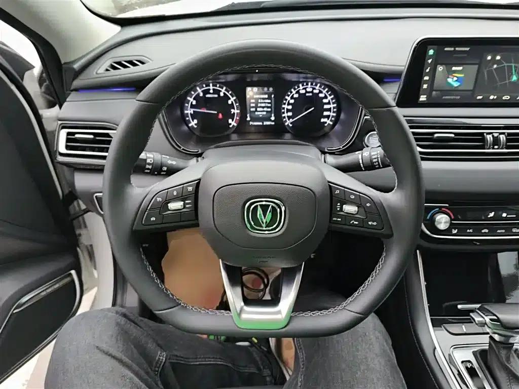 Ruicheng CC 2022 Blue Whale Edition 1.5T DCT Luxury — миниатюра 7