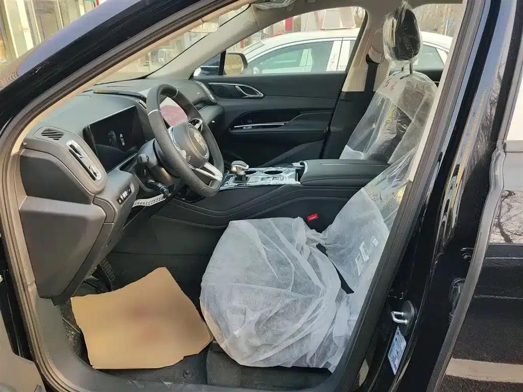 Hongqi HS3 PHEV 2025 Model 125km JIANG PLUS 2 Million Unit Commemorative Edition — миниатюра 12