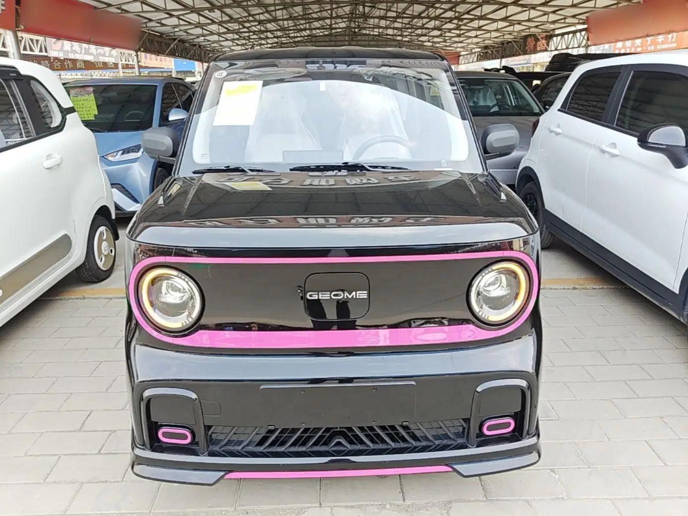 Geely Galaxy Panda 2025 210km Panda Kart — миниатюра 2