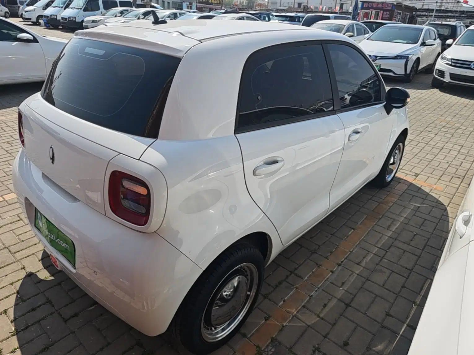 ORA Black Cat 2022 Updated Version 301 km Cute Pet Edition Lithium Iron Phosphate — миниатюра 6
