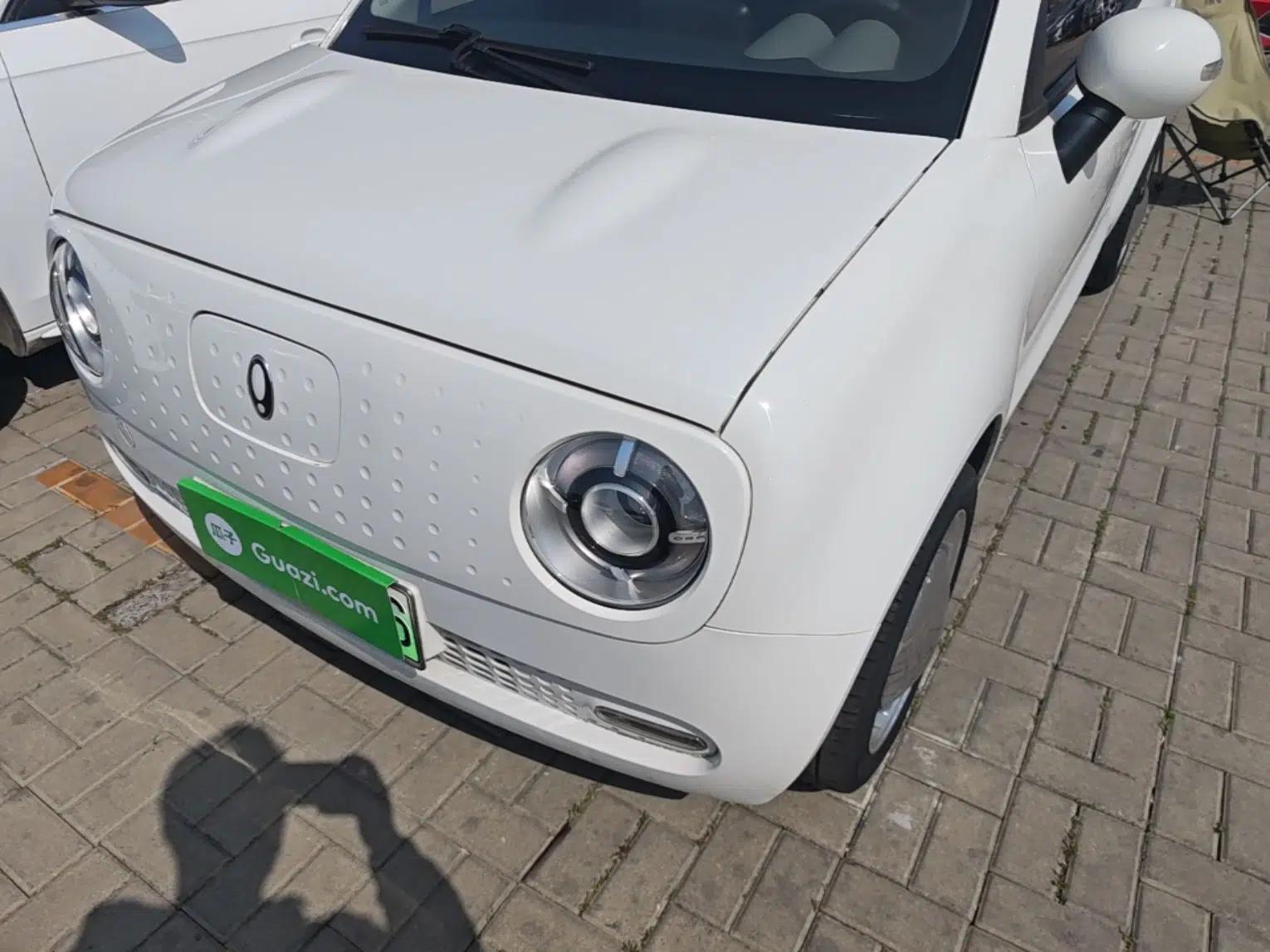 ORA Black Cat 2022 Updated Version 301 km Cute Pet Edition Lithium Iron Phosphate — миниатюра 9