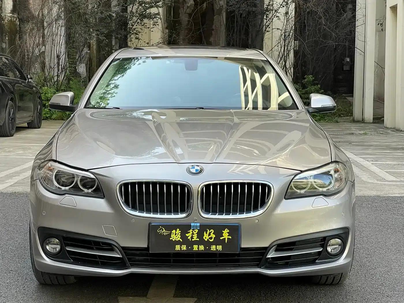 2014 BMW 5 Series 520Li Elegant Edition — миниатюра 3