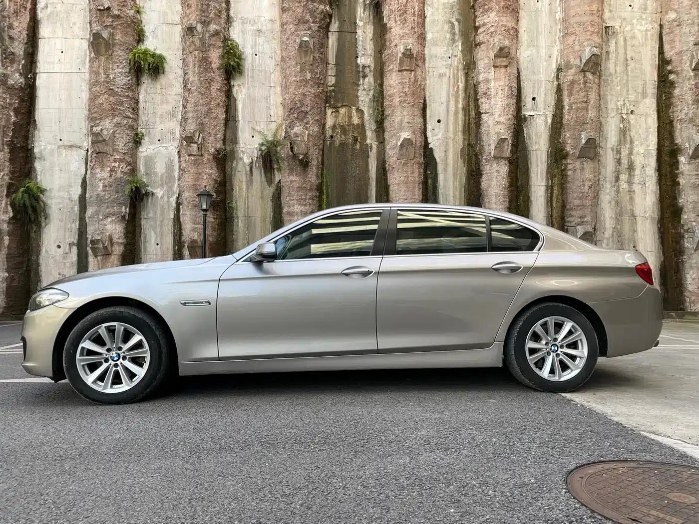 2014 BMW 5 Series 520Li Elegant Edition — миниатюра 5