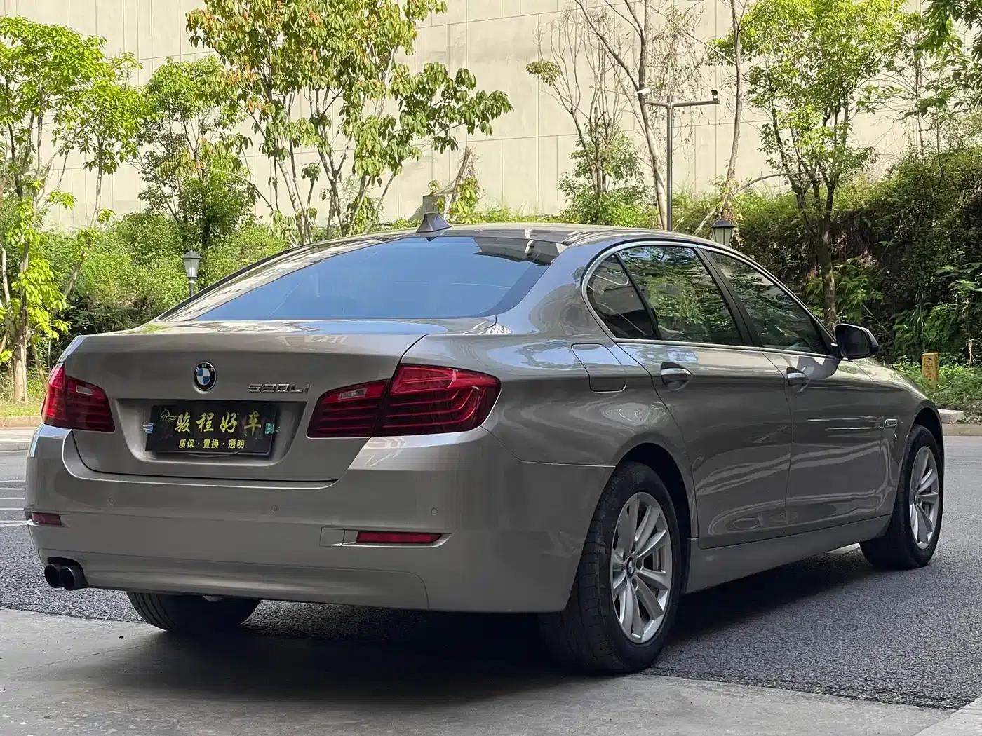 2014 BMW 5 Series 520Li Elegant Edition — миниатюра 6
