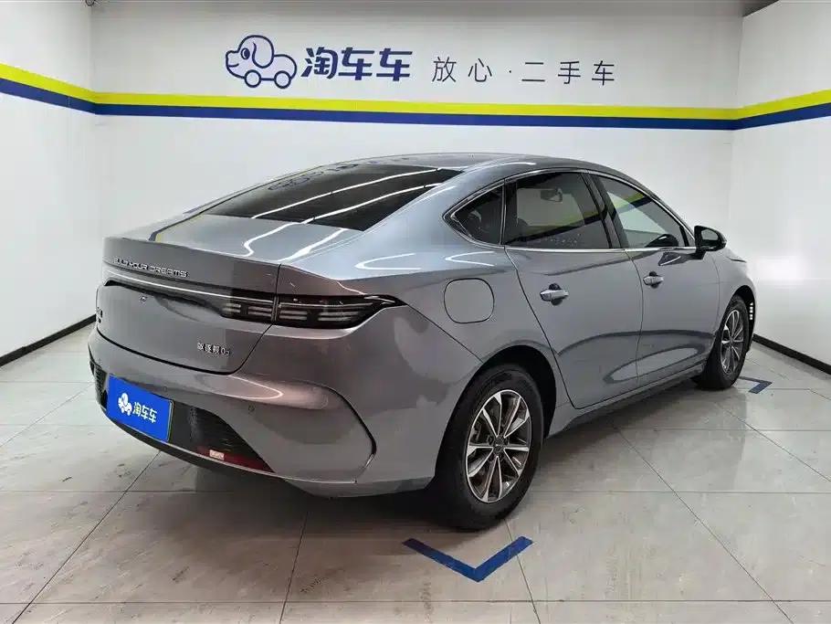 Destroyer 05 2024 Glory Edition DM-i 55KM Luxury Model — миниатюра 3